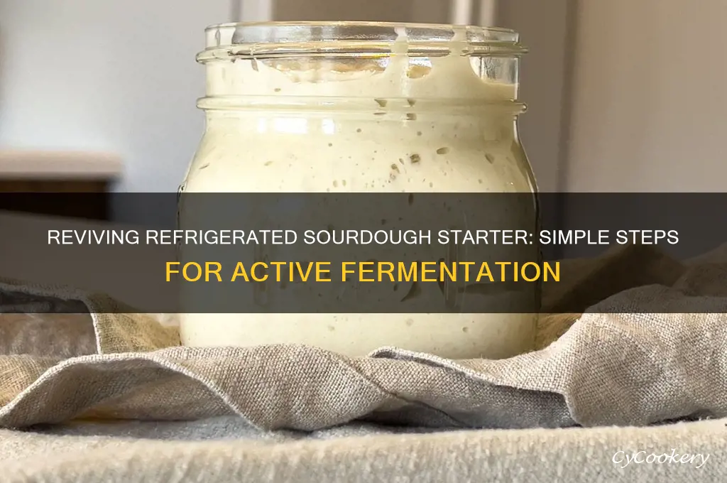 how to revive a refrigerated sourdough starter