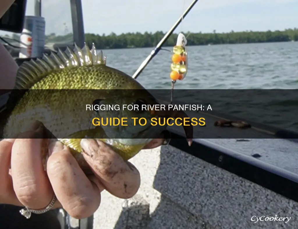 how to rig for pan fish in river
