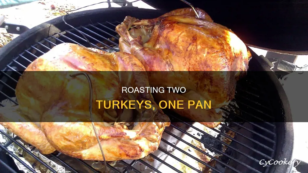 how to roast 2 turkeys in the same pan