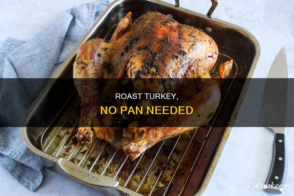 how to roast a tureky with no pan