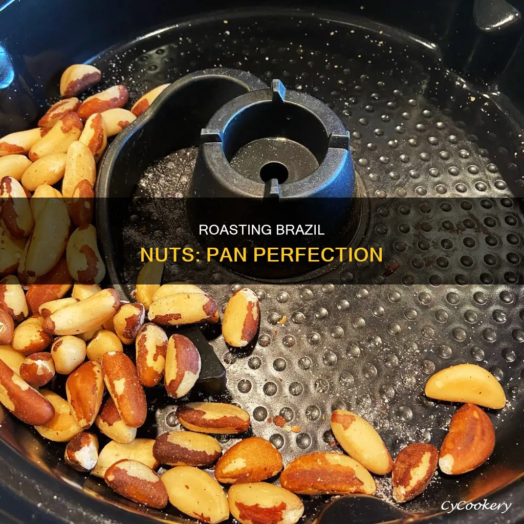 how to roast brazil nuts in a pan