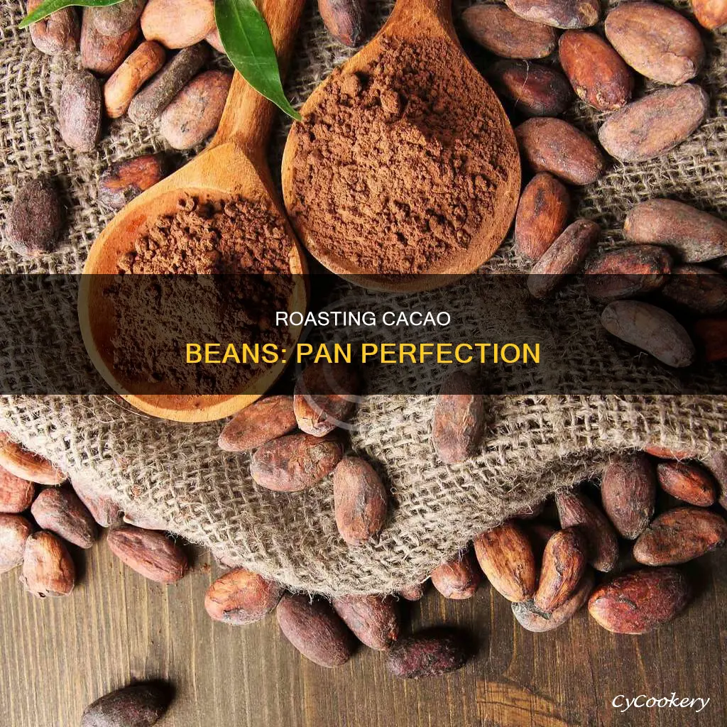 how to roast cacao beans in a pan