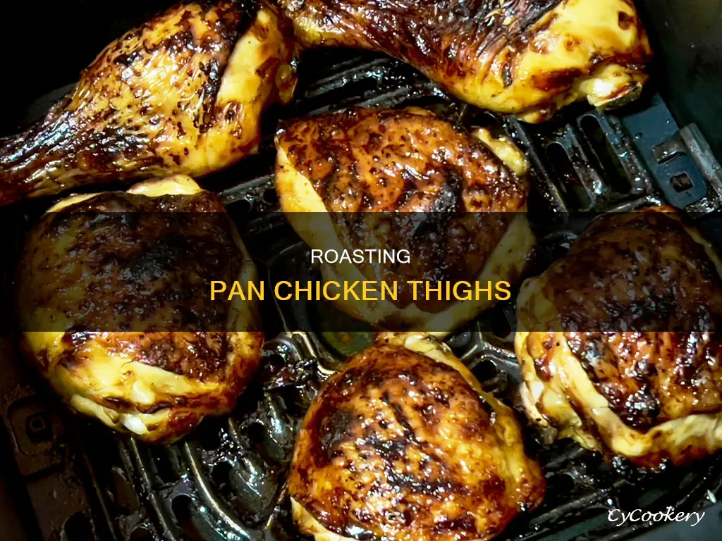 how to roast chicken thighs in roasting pan