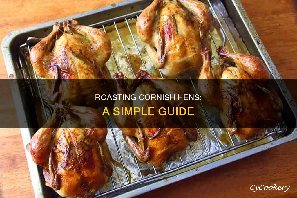 how to roast cornish hens on a roasting pan