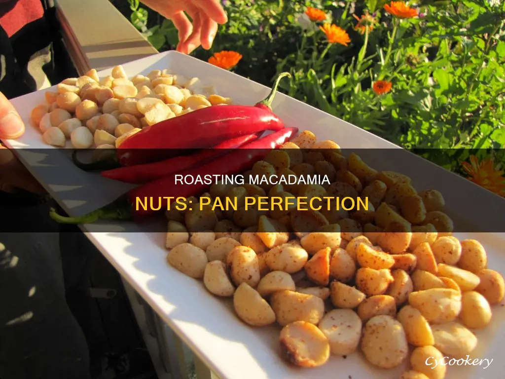 how to roast macadamia nuts in a pan