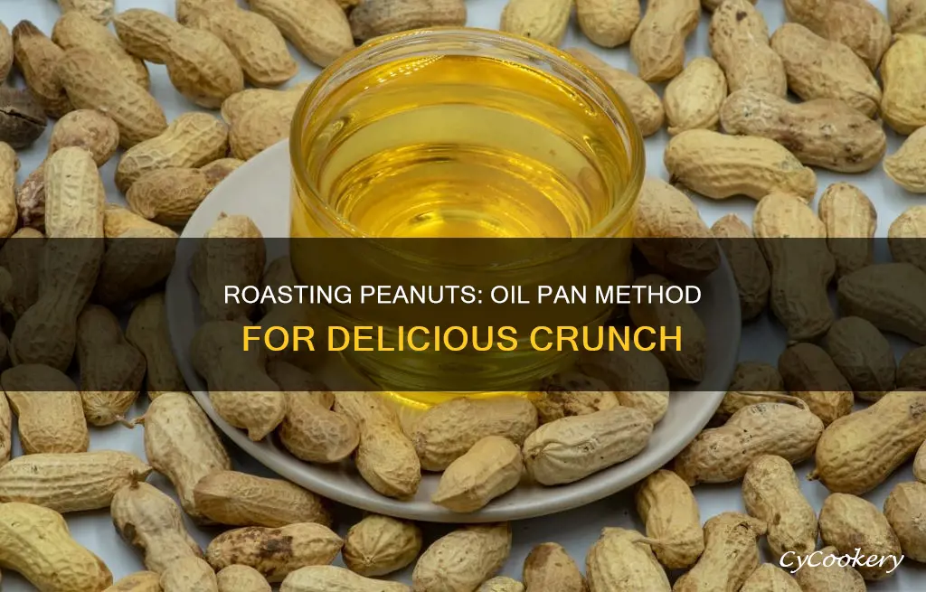 how to roast peanuts in a pan with oil