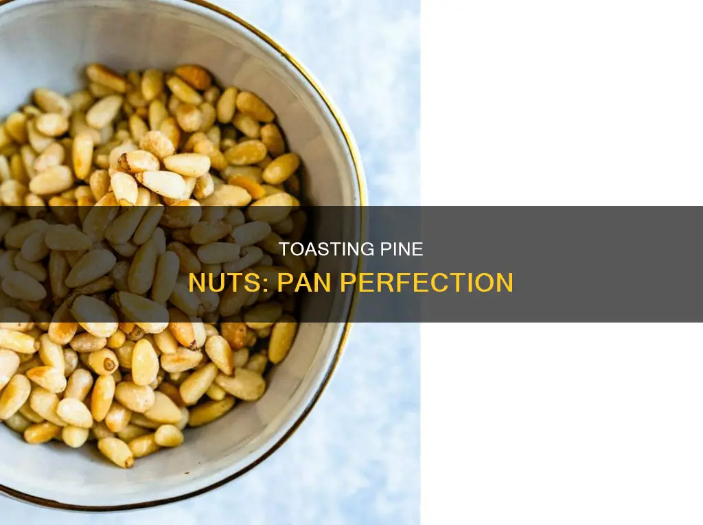 how to roast pine nuts in a pan