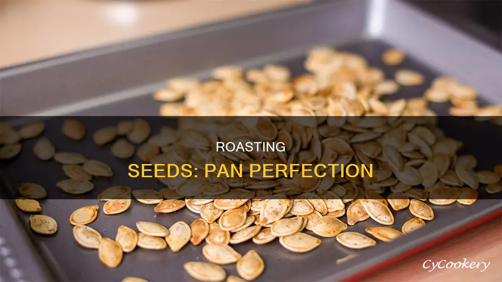 how to roast seeds in a pan