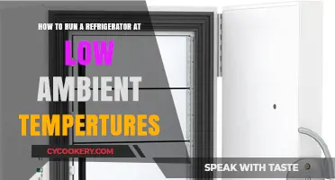 Efficient Cooling: Running Your Refrigerator in Low Ambient Temperatures