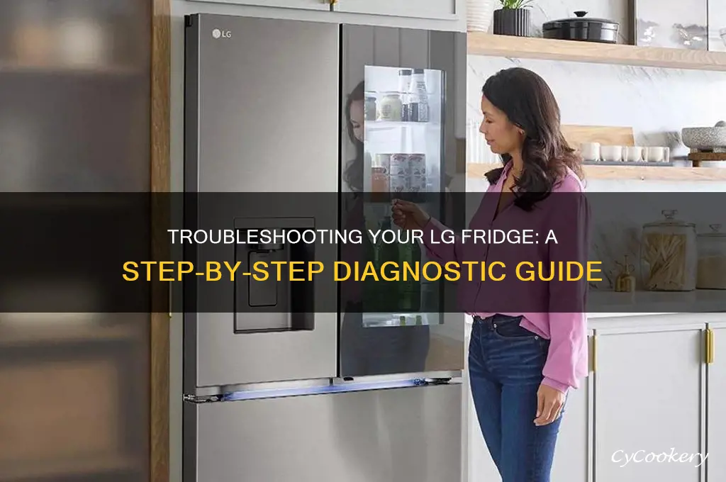 how to run diagnostics on lg refrigerator
