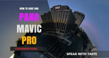 Mavic Pro's 360-Degree Panorama: Saving the Best Views