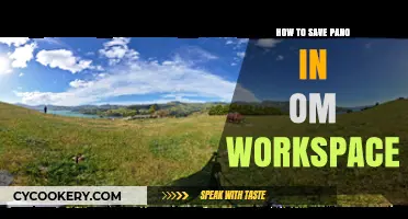 Save Panos in OM Workspace: Tips and Tricks