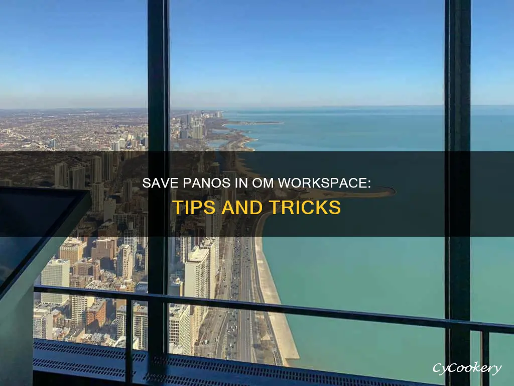 how to save pano in om workspace