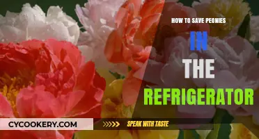 Chill and Preserve: A Guide to Refrigerating Peonies for Longevity