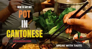 Hot Pot, Cantonese Style: A Beginner's Guide to the Ultimate Comfort Food