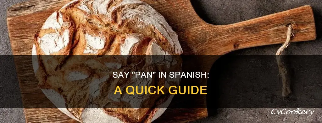 how to say pan is spanish