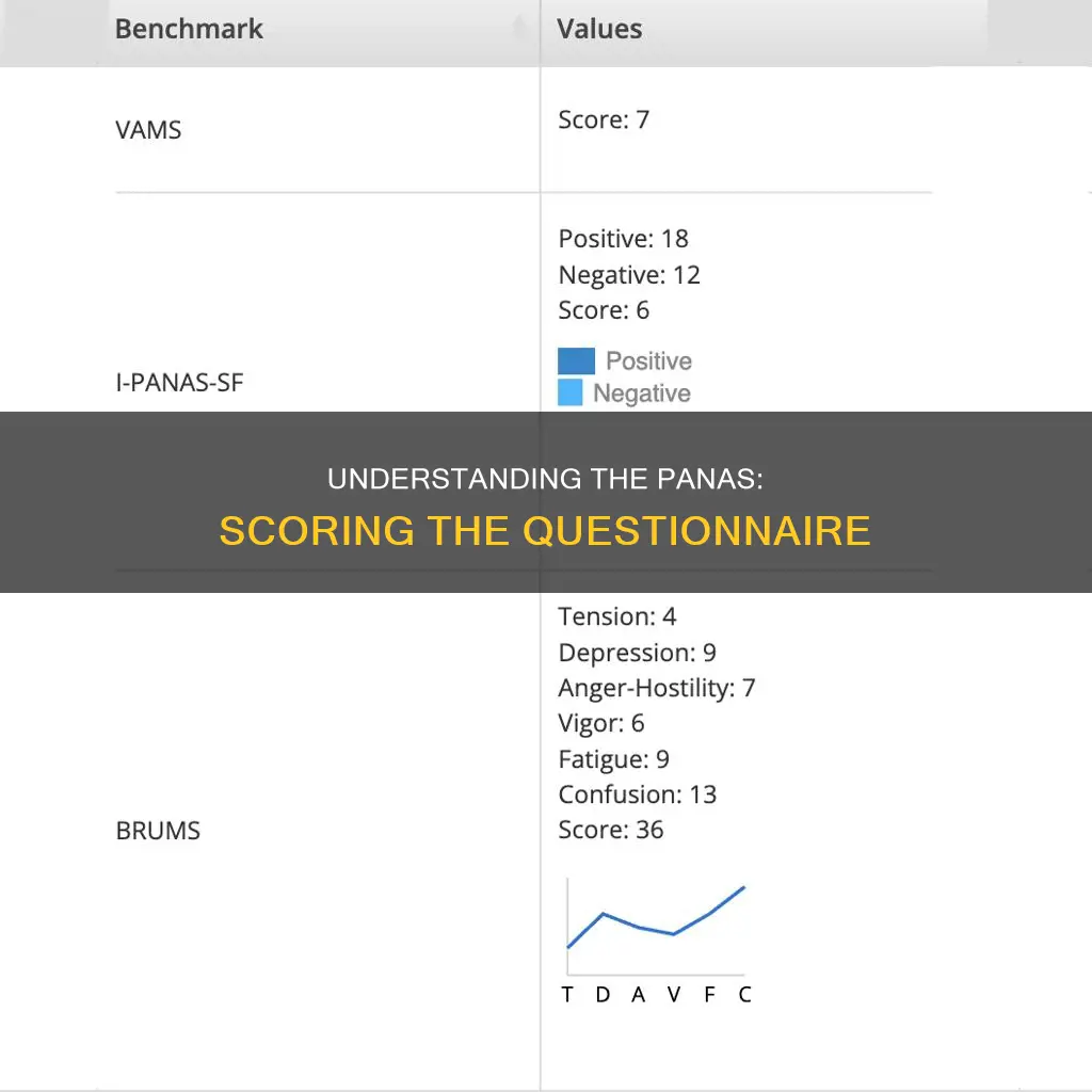 how to score the panas questionnaire