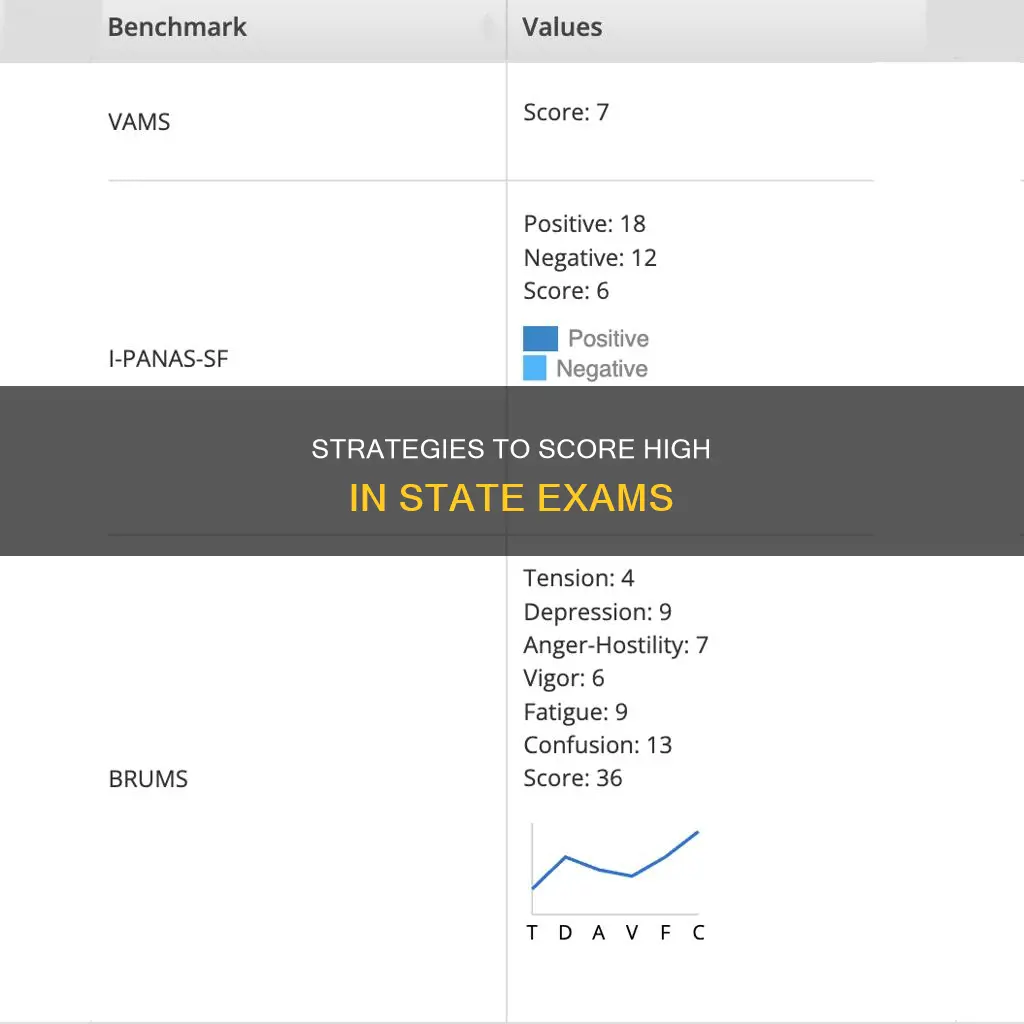how to score the state panas