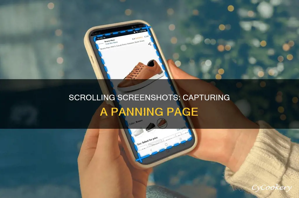 how to screenshot a panning page