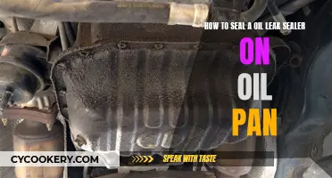 Sealing Oil Pan Leaks: Easiest Way to Do It Yourself