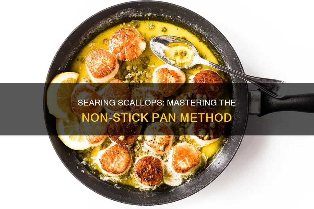 how to sear scallops in a non stick pan