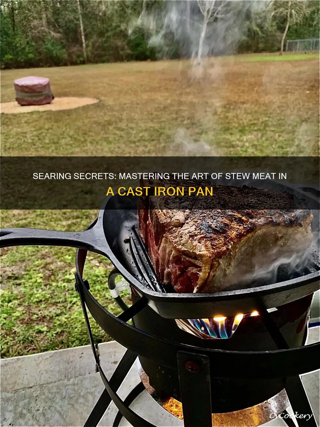 how to sear stew meat in cast iron pan