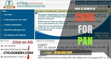 Easy Steps to Find Your PAN Using AO Code