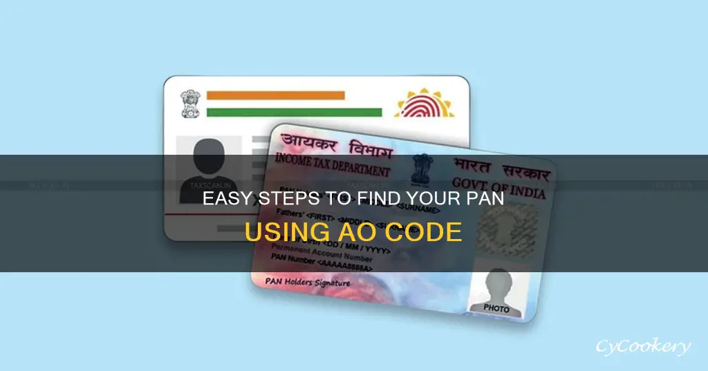 how to search ao code for pan