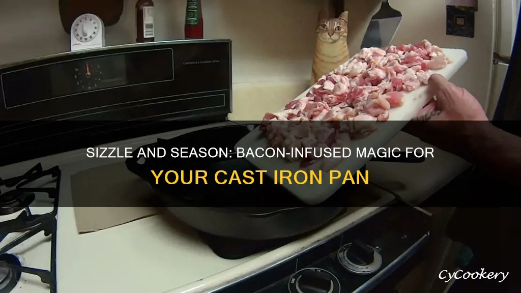 how to season a cast iron pan with bacon