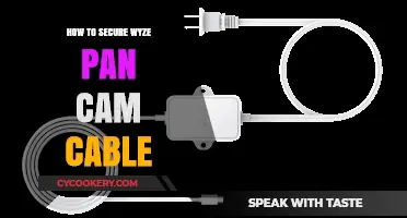 Protecting Wyze Pan Cam: Securing the Cable