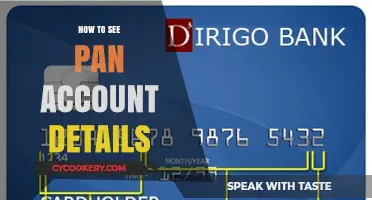 Explore PAN Account Details: A Step-by-Step Guide