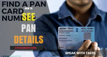 Accessing PAN Details: A Step-by-Step Guide