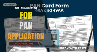 Selecting an AO Code for Your PAN Application
