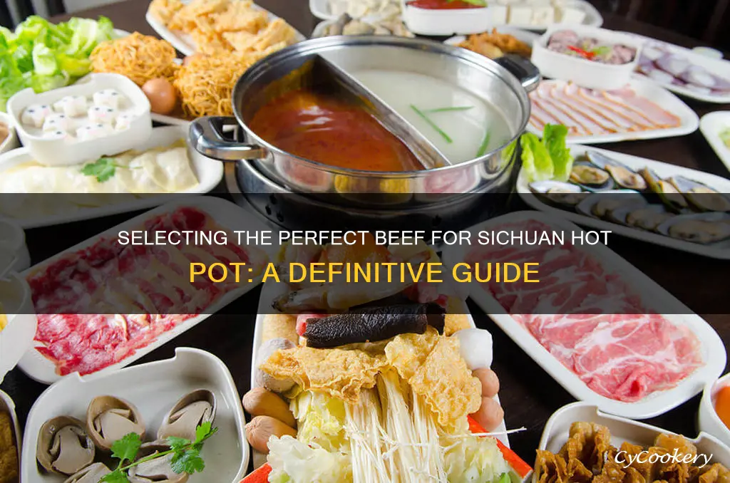 how to select sichuan hot pot beef