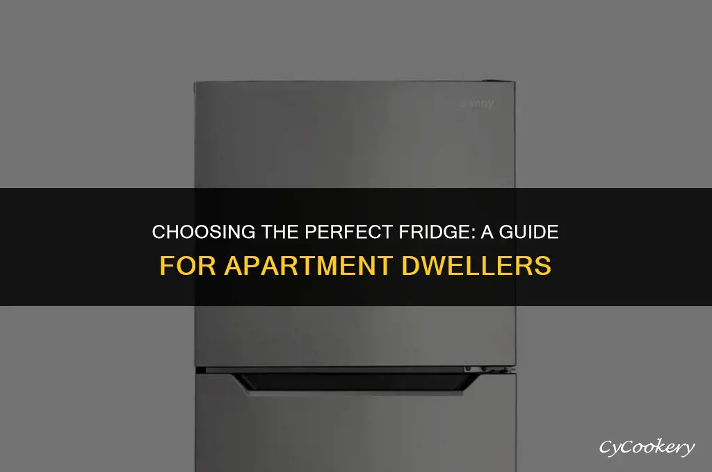 how to select the best refrigerator for your apartment