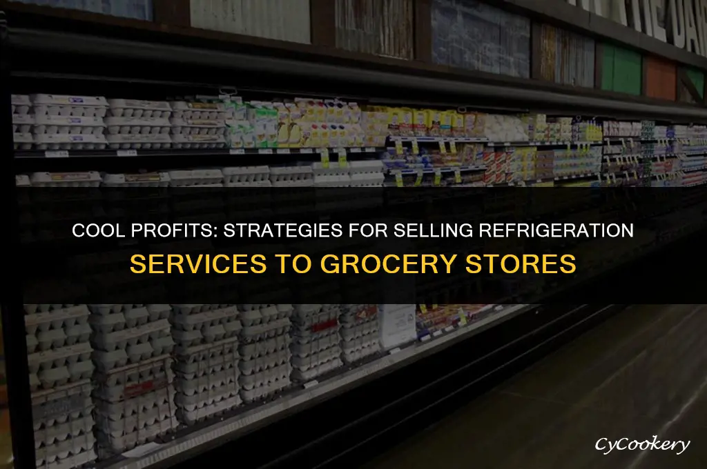how to sell refrigeration service to grocery stores