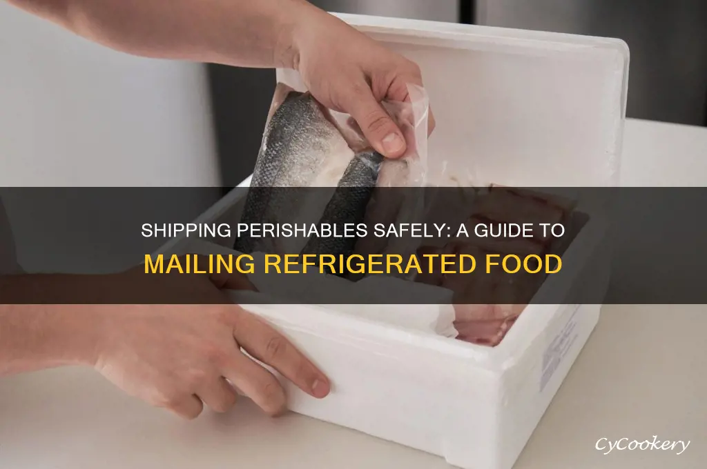 how to send refrigerated food in the mail