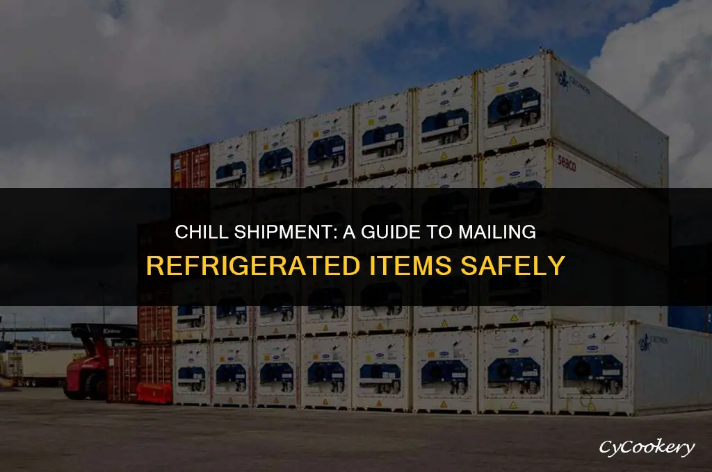 how to send refrigerated items in the mail