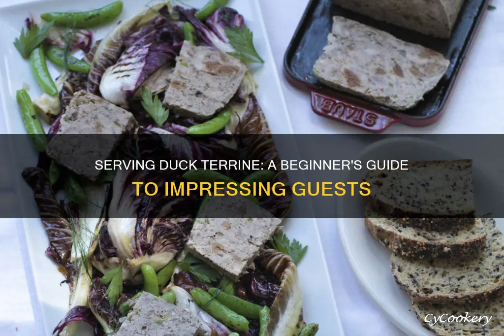 how to serve duck terrine