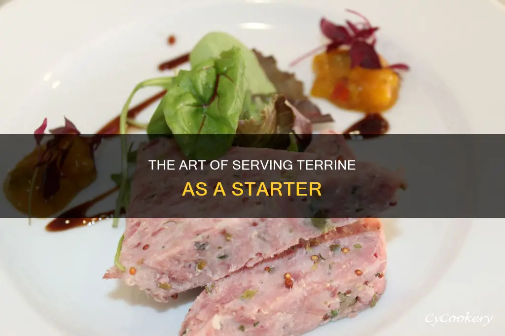 how to serve terrine as a starter