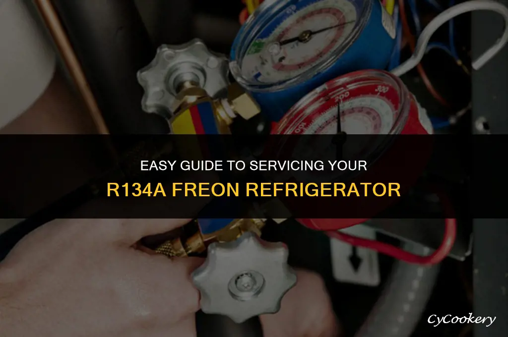 how to service a refrigerator with r134a freon
