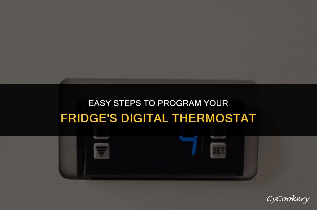 how to set a digital thermostat on refrigerator door
