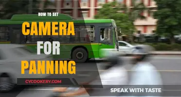 Mastering Panning Shots: Camera Settings for Smooth Pans
