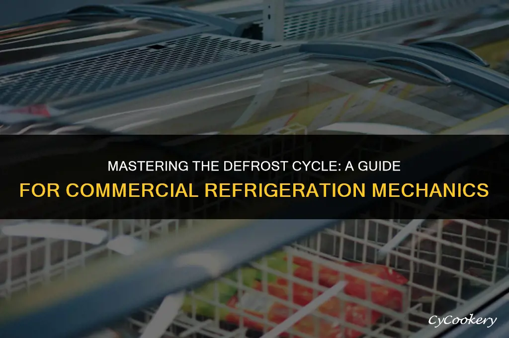 how to set defrost cycle commercial refrigerator mechanical
