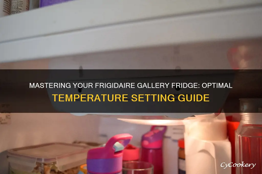 how to set frigidaire gallery refrigerator temperature