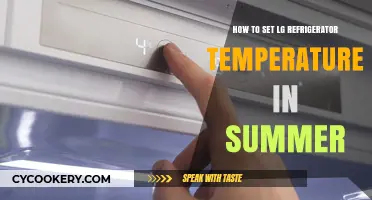 Chill Out: Mastering Your LG Fridge Temp for Summer Comfort