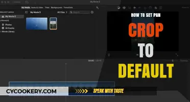 Adjusting Your Pan Crop Settings to Default