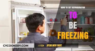 Mastering Your Fridge: How to Set Refrigerator to Freezing Temperatures