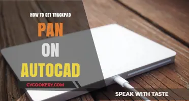 Customizing Your AutoCAD: Trackpad Pan Settings