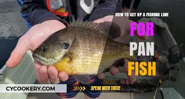 Setting Up a Fishing Line for Pan Fish: A Beginner's Guide